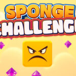 Sponge Challenge